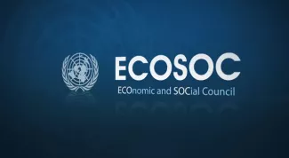 ECOSOC, vigiljournal.com